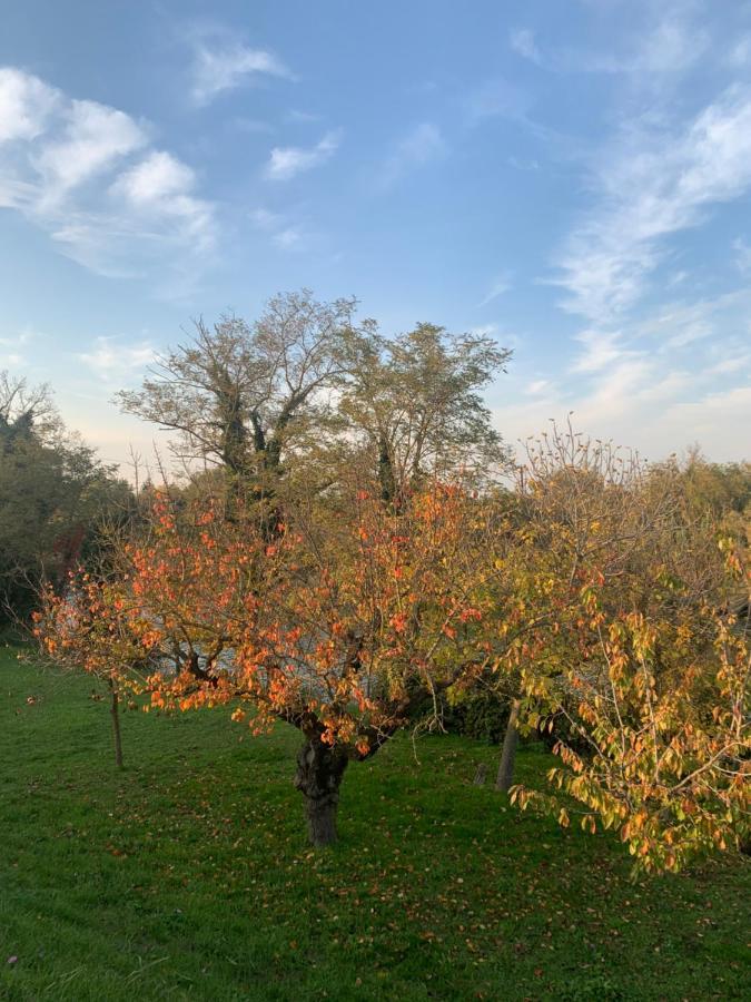 B&B Le Col-Vert Lido di Dante Zewnętrze zdjęcie
